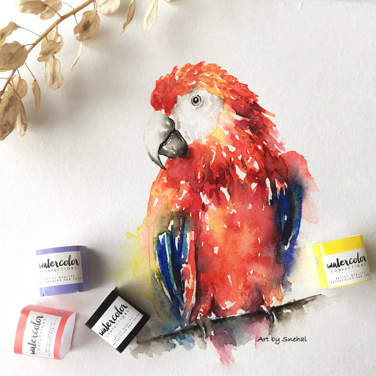 Tropical Splendor - Macaw