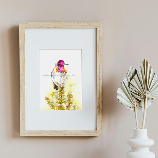 Anna’s Hummingbird, watercolor, painting, Art print 5x7