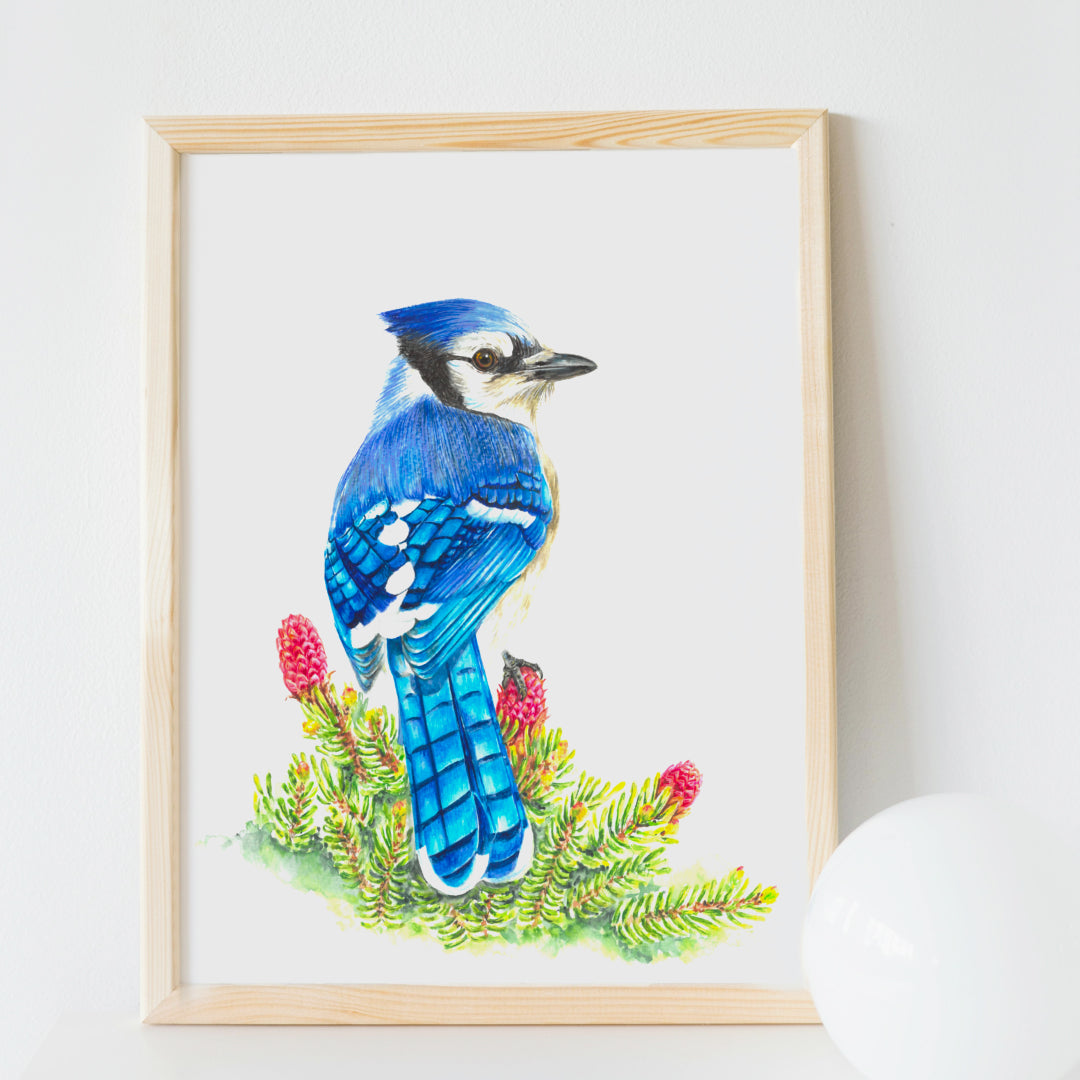Spring's Vibrant Beauty with Realistic Blue Jay and Flowering Douglas Fir Original Painting