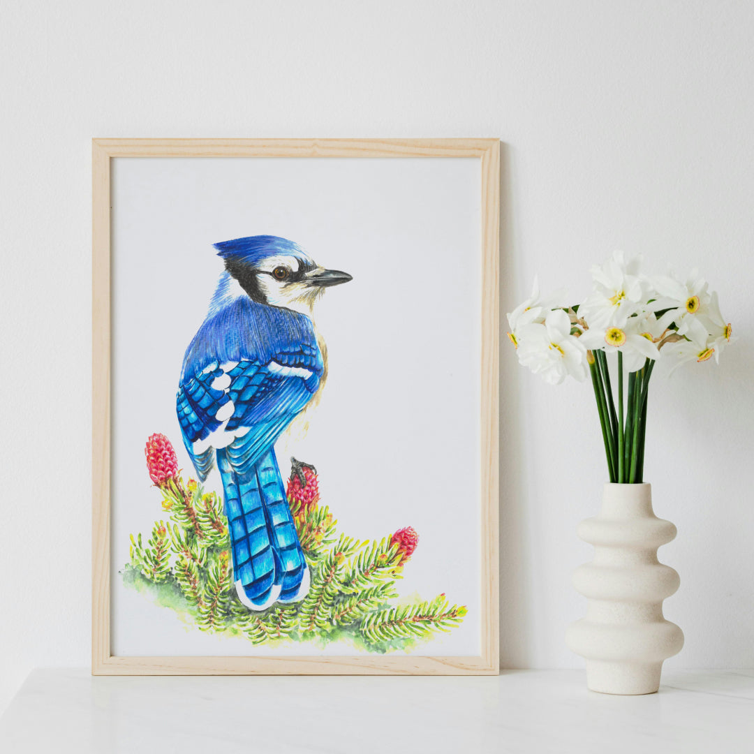 Spring's Vibrant Beauty with Realistic Blue Jay and Flowering Douglas Fir Painting - Art Print