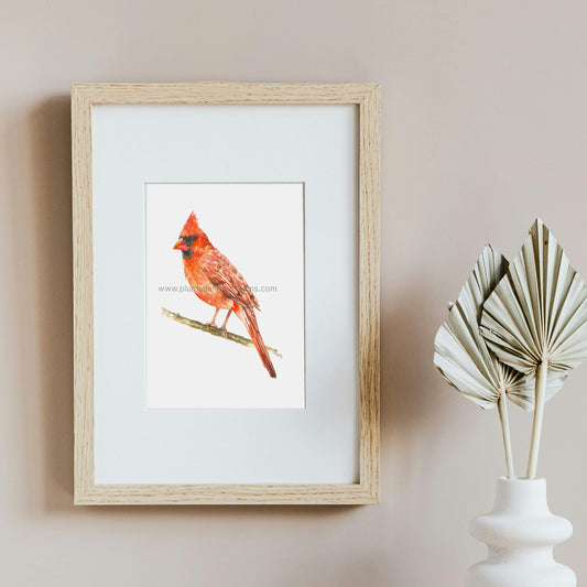 Cardinal watercolor, Northern Cardinal Original Art