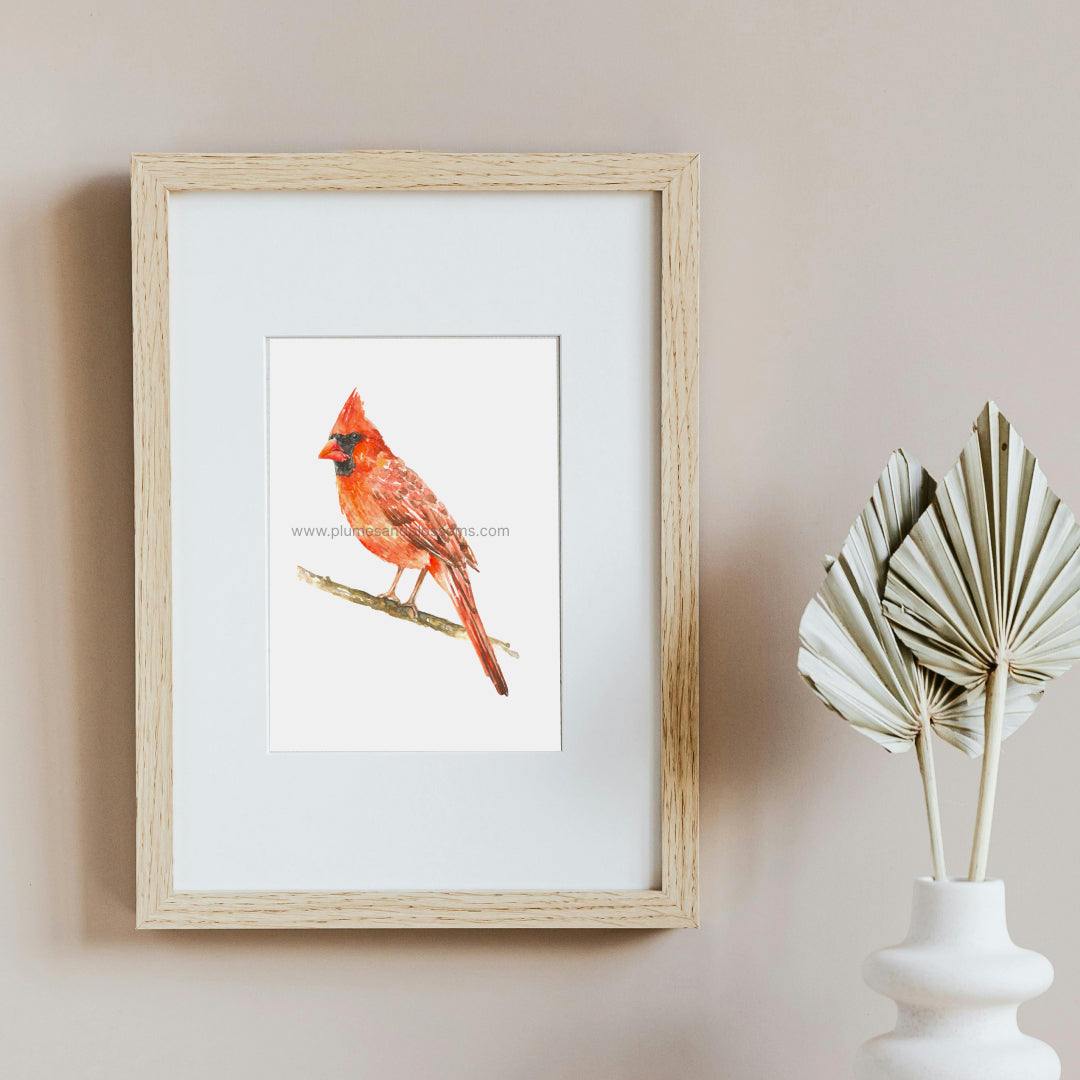 Cardinal watercolor, Northern Cardinal Original Art