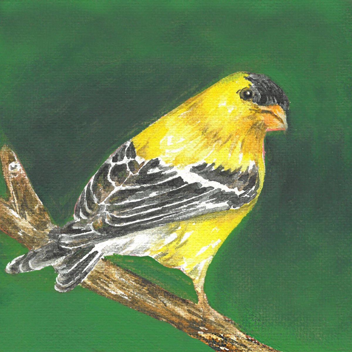 4A. Goldfinches's Golden Glow