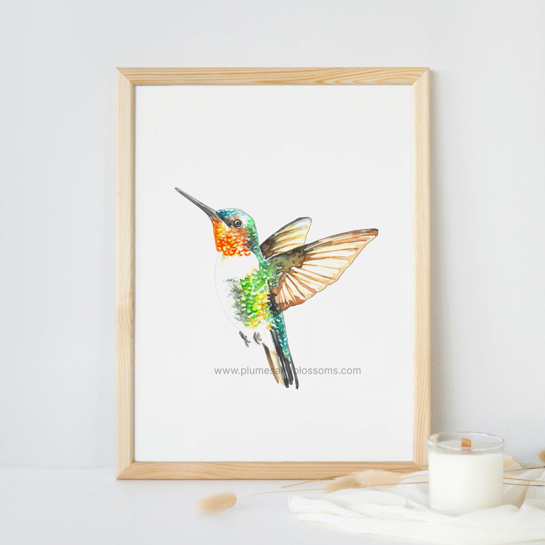 Hummingbird Ruby-throated , watercolor, painting, Art print 5x7