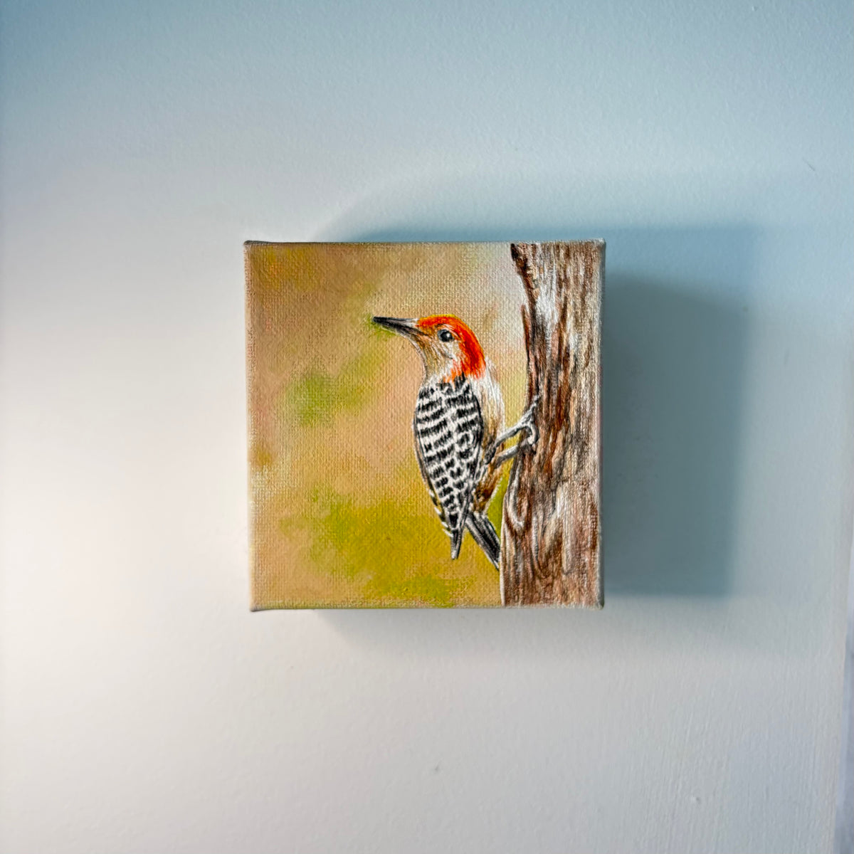 1A. Woodpecker on a Tree Trunk