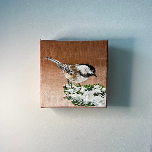 11A. Chickadee's Winter Foraging