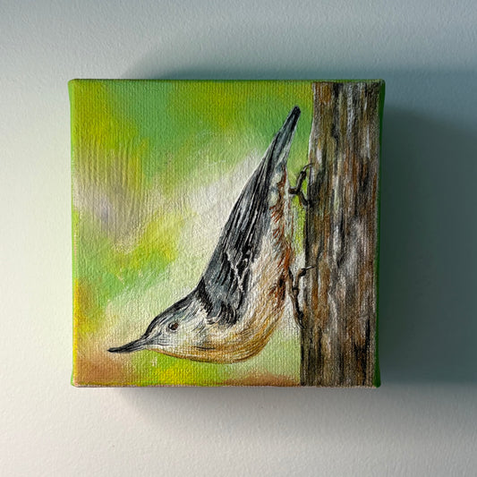 5A. Nuthatch Among The Tree