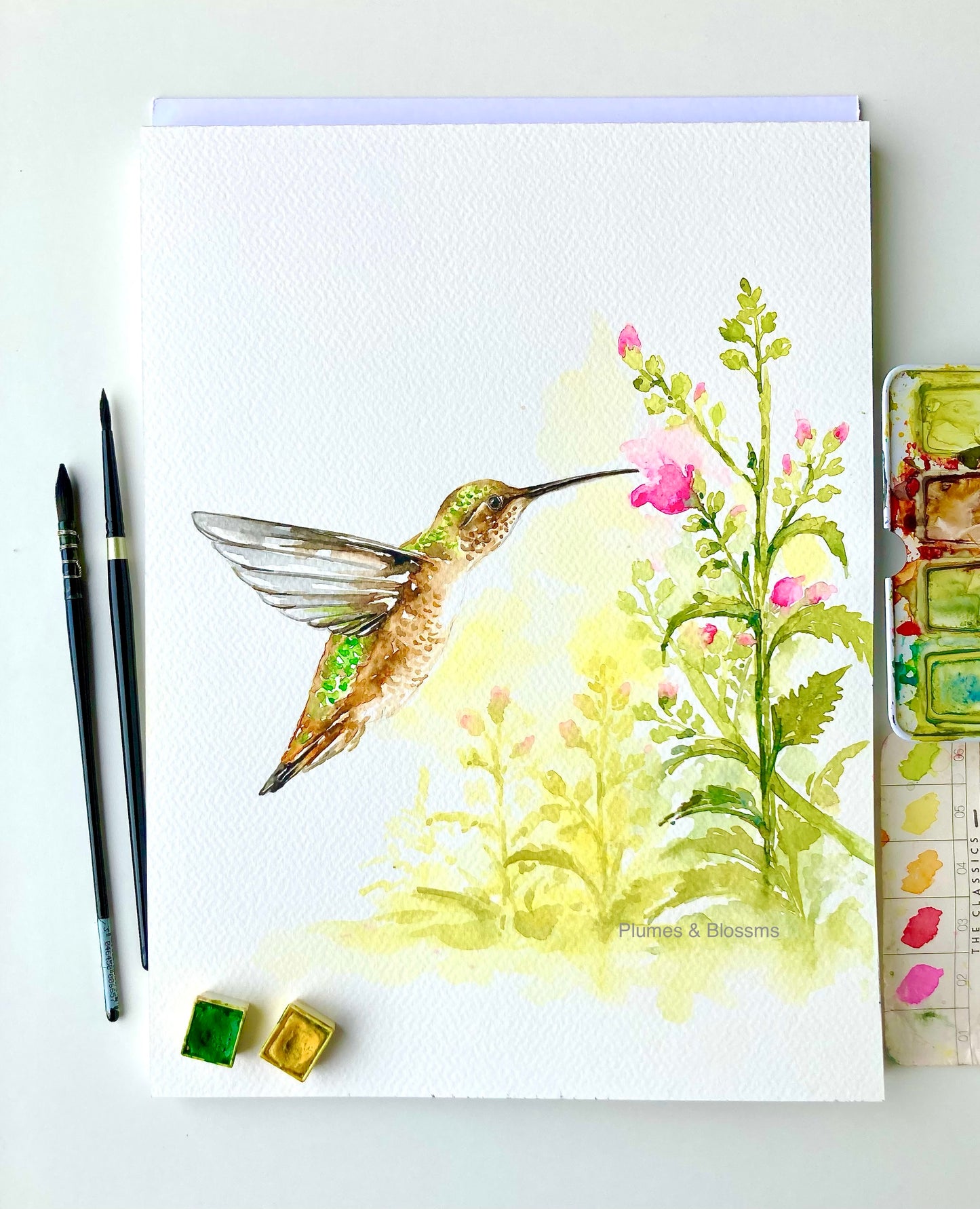 Hummingbird and Flowers