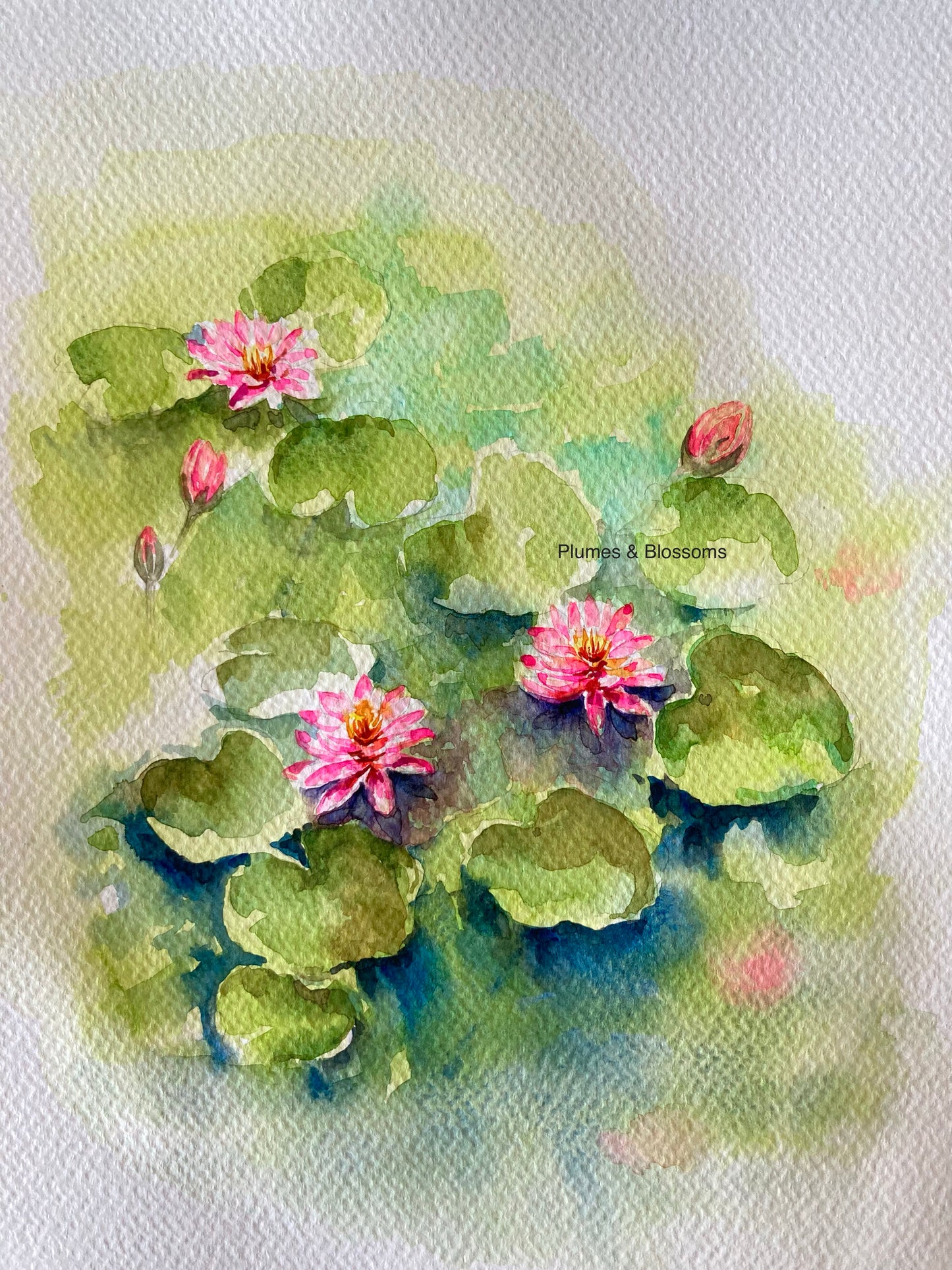 Serene Waterlilies