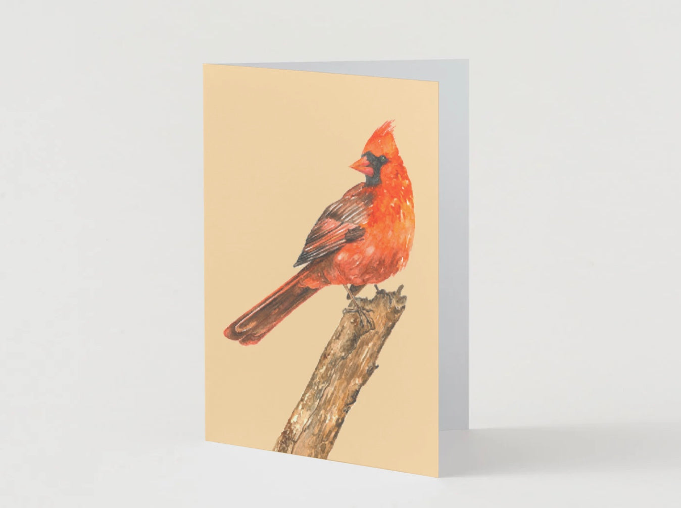 Greeting Card, Cardinal, Birds, Cardinal Card