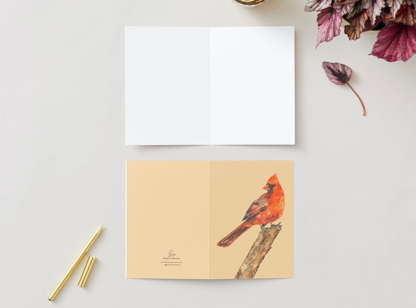 Greeting Card, Cardinal, Birds, Cardinal Card