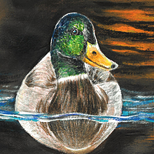 2A. Mallard's Quite Reflection