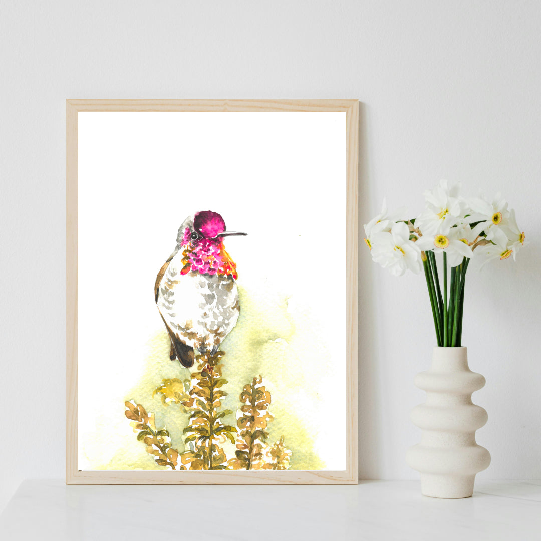 Anna's hummingbird, watercolor, painting, original watercolor