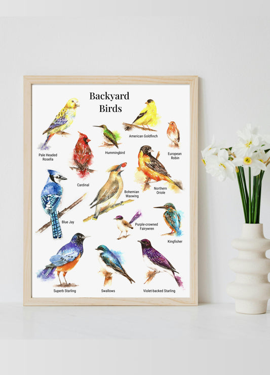 Backyard Birds poster - Art Print 8x11