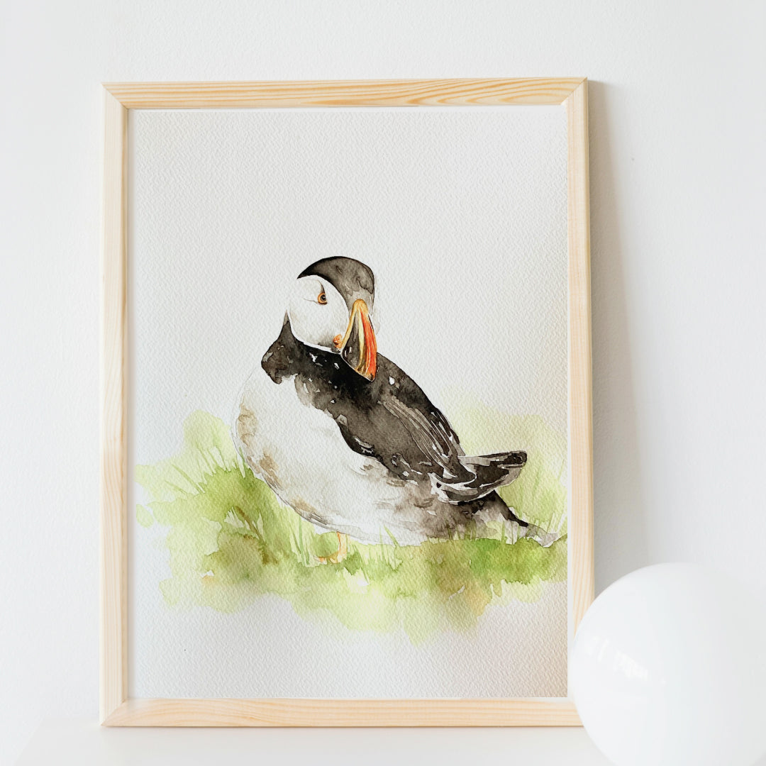 Puffin