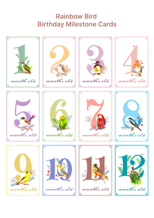 Rainbow Birds Baby Monthly Milestone Cards, Baby Milestone, Gift for New Born, Baby Shower