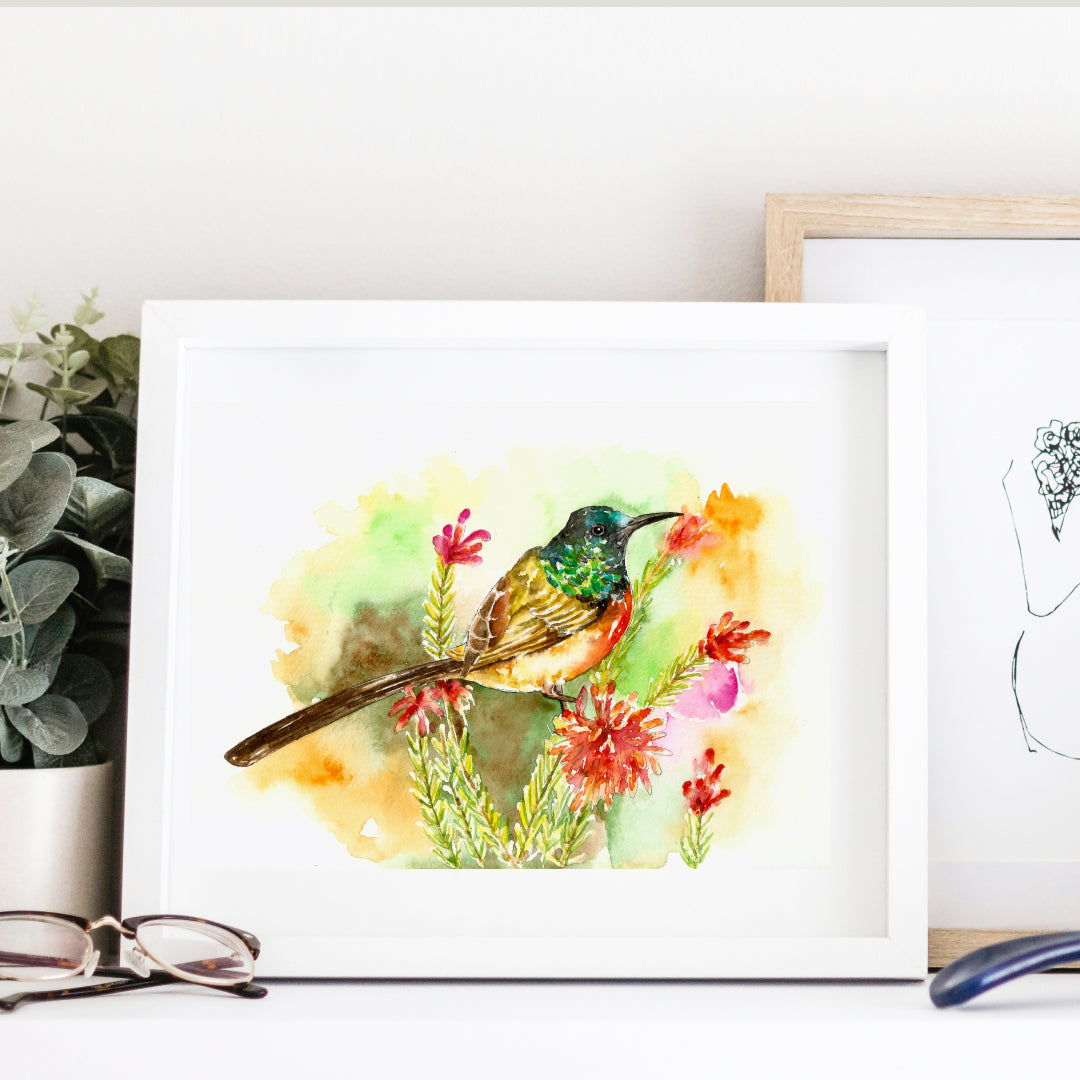 Sunbird & Sunshine Bloom - Art Print