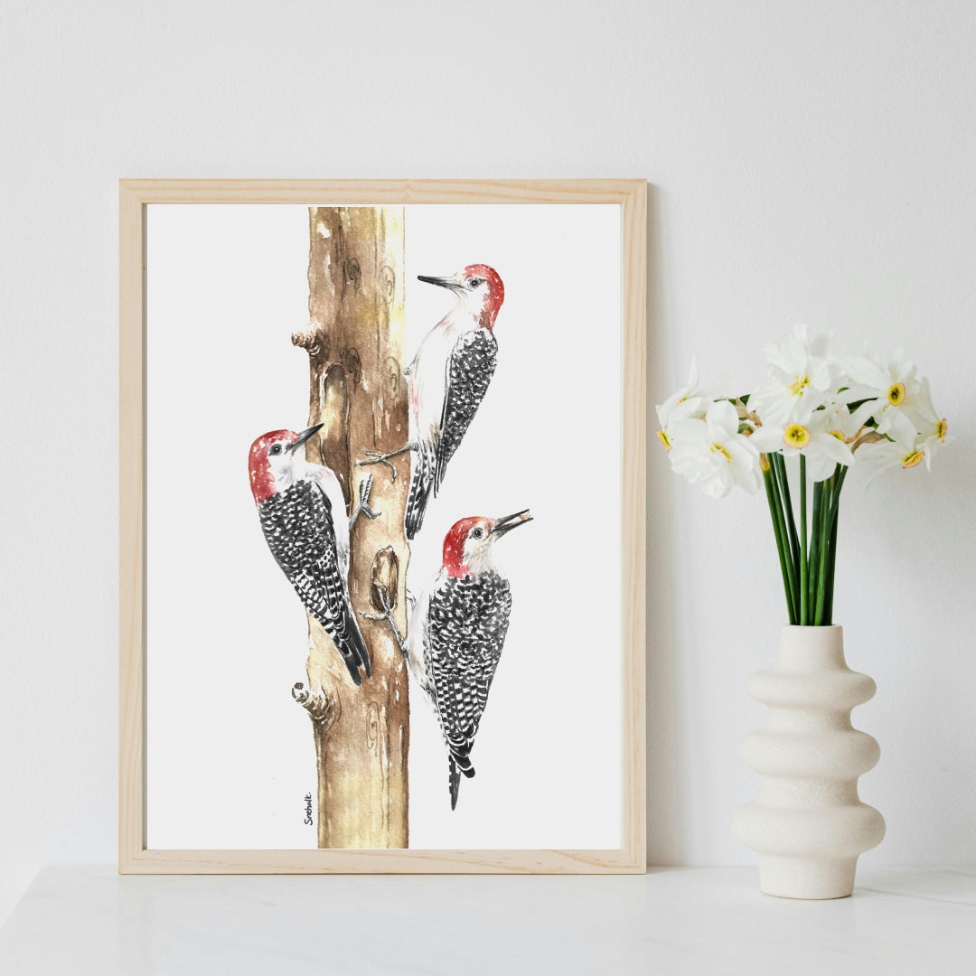 Woodpeckers in Nature Art Print