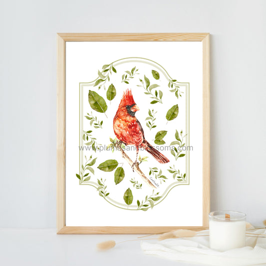 Birds of NS - Cardinal Leaves, Cardinal, NS Birds, Seaside Bids, Art Print 8x11, Poster print