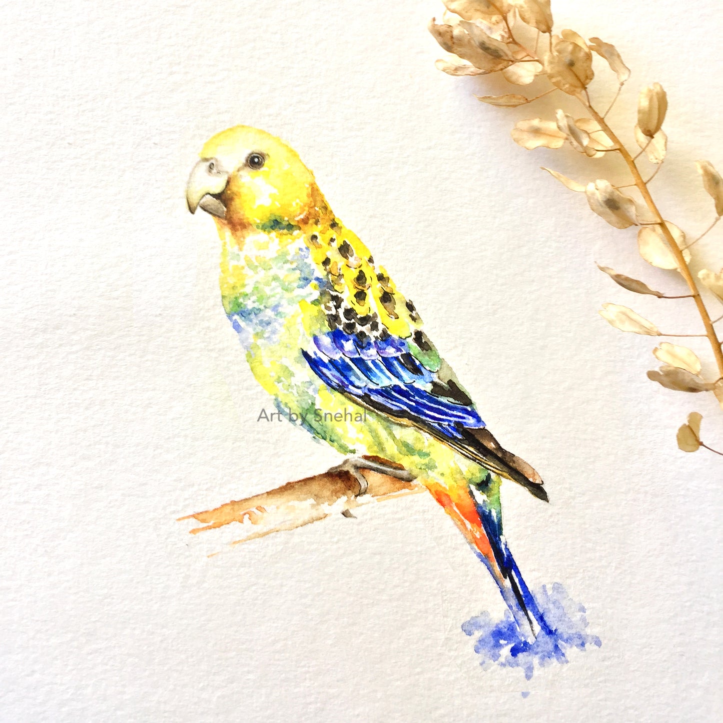 The pale-headed rosella