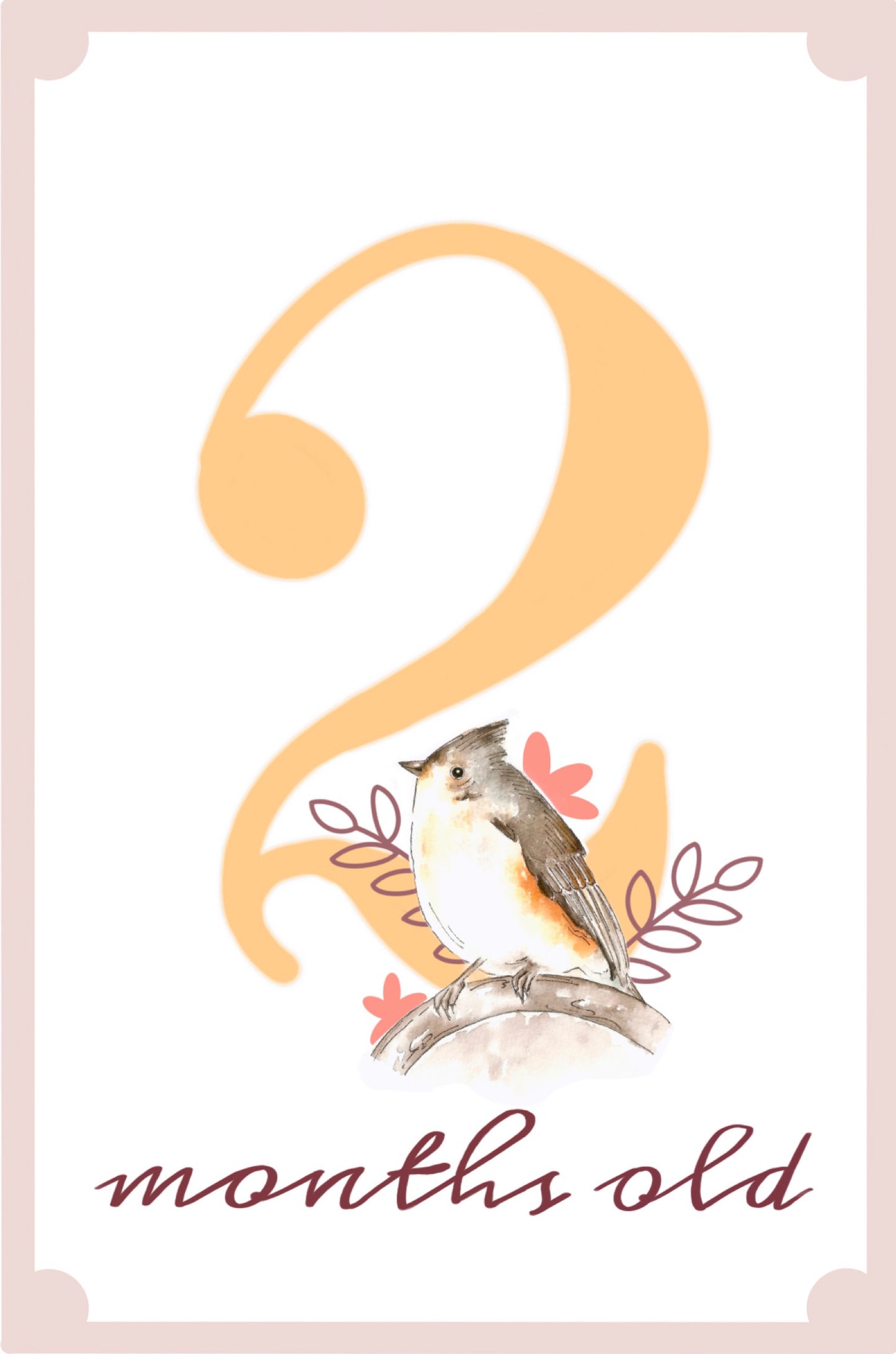 Rainbow Birds Monthly Milestone Cards