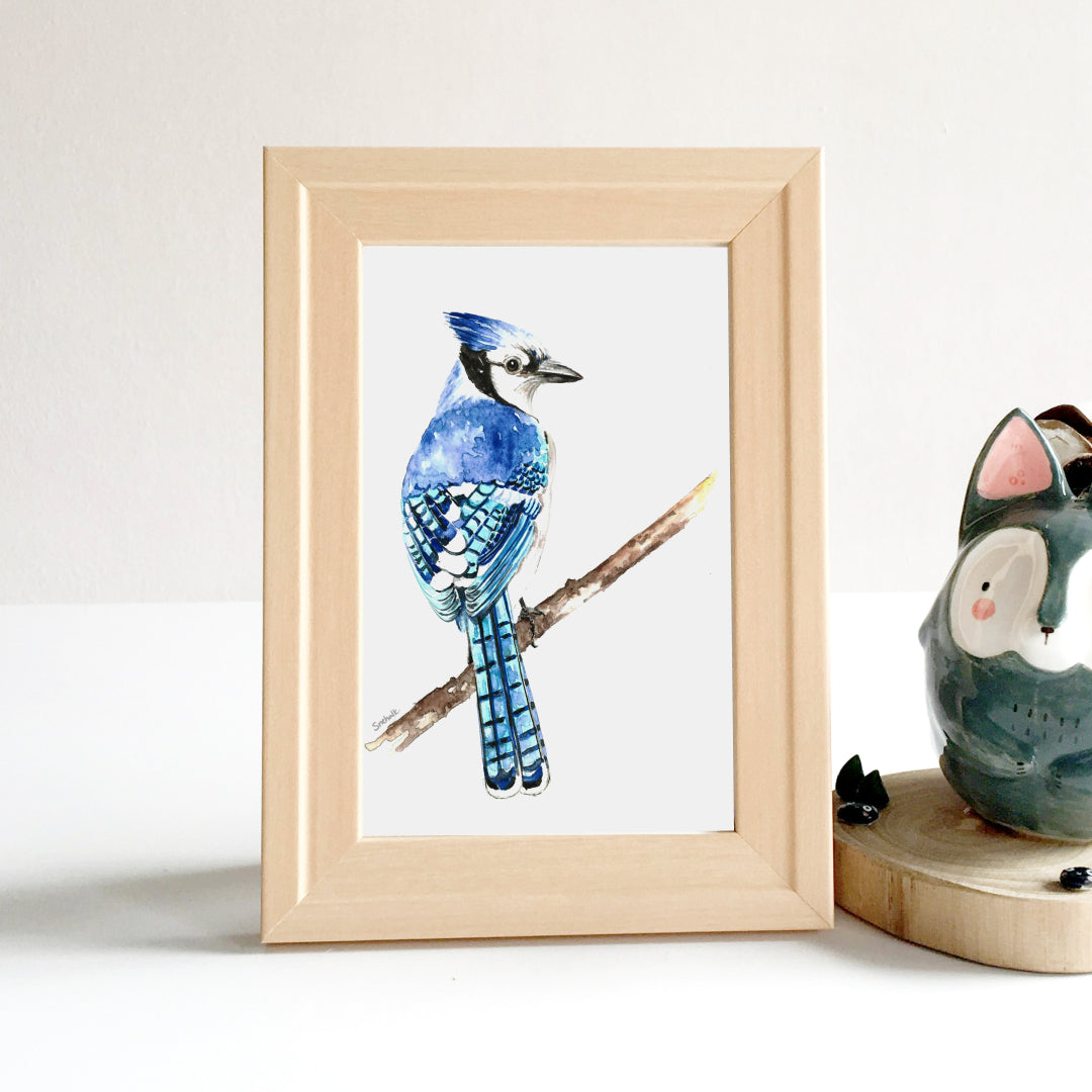 Bluejay Serenity Art Print