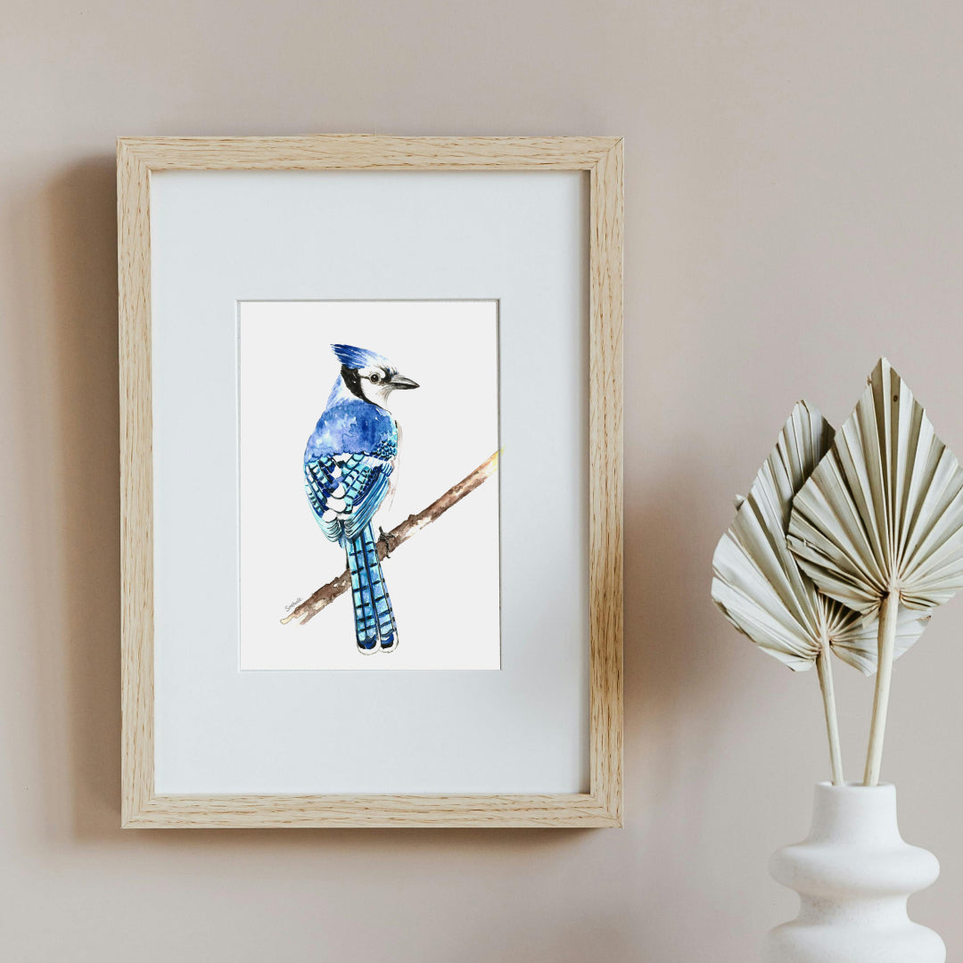 Bluejay Serenity Art Print