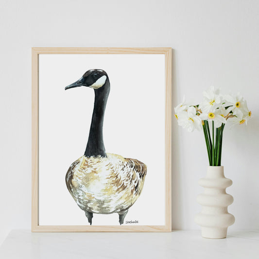 Canadian Goose Art Print