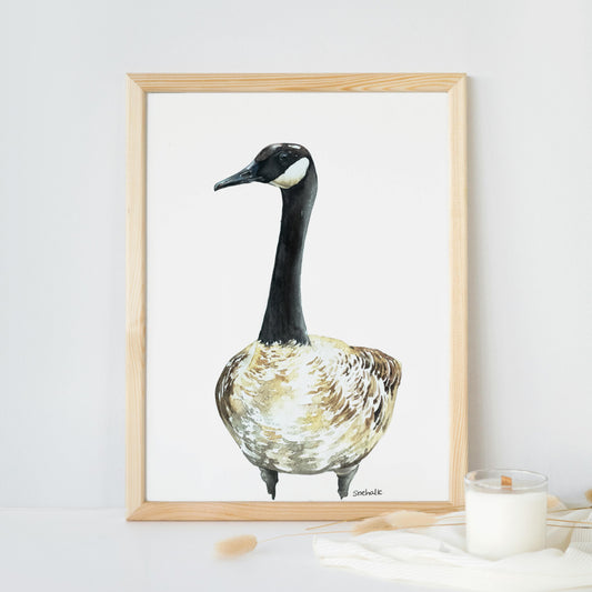 Canadian Goose in Loose Watercolor Style