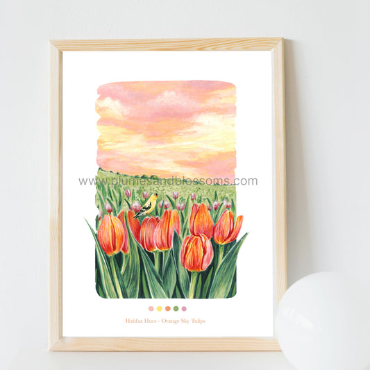 3. Halifax Hues – Orange Sky Tulips, Wall Art, Art Print 8x11, Poster Print