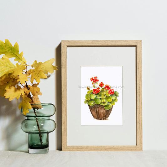 House Plant - Art Print
