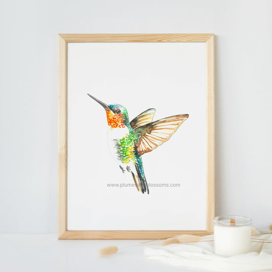 Hummingbird Ruby-throated , watercolor, painting, Art print 5x7