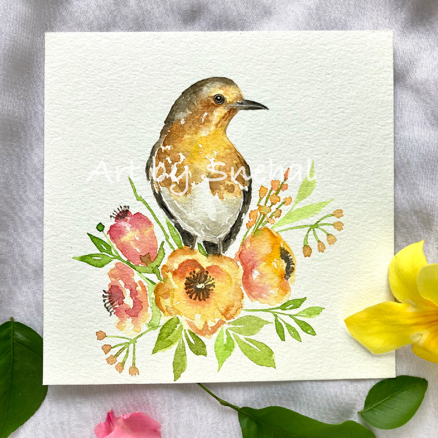 European Robin with Refreshing Flowers