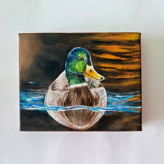2A. Mallard's Quite Reflection