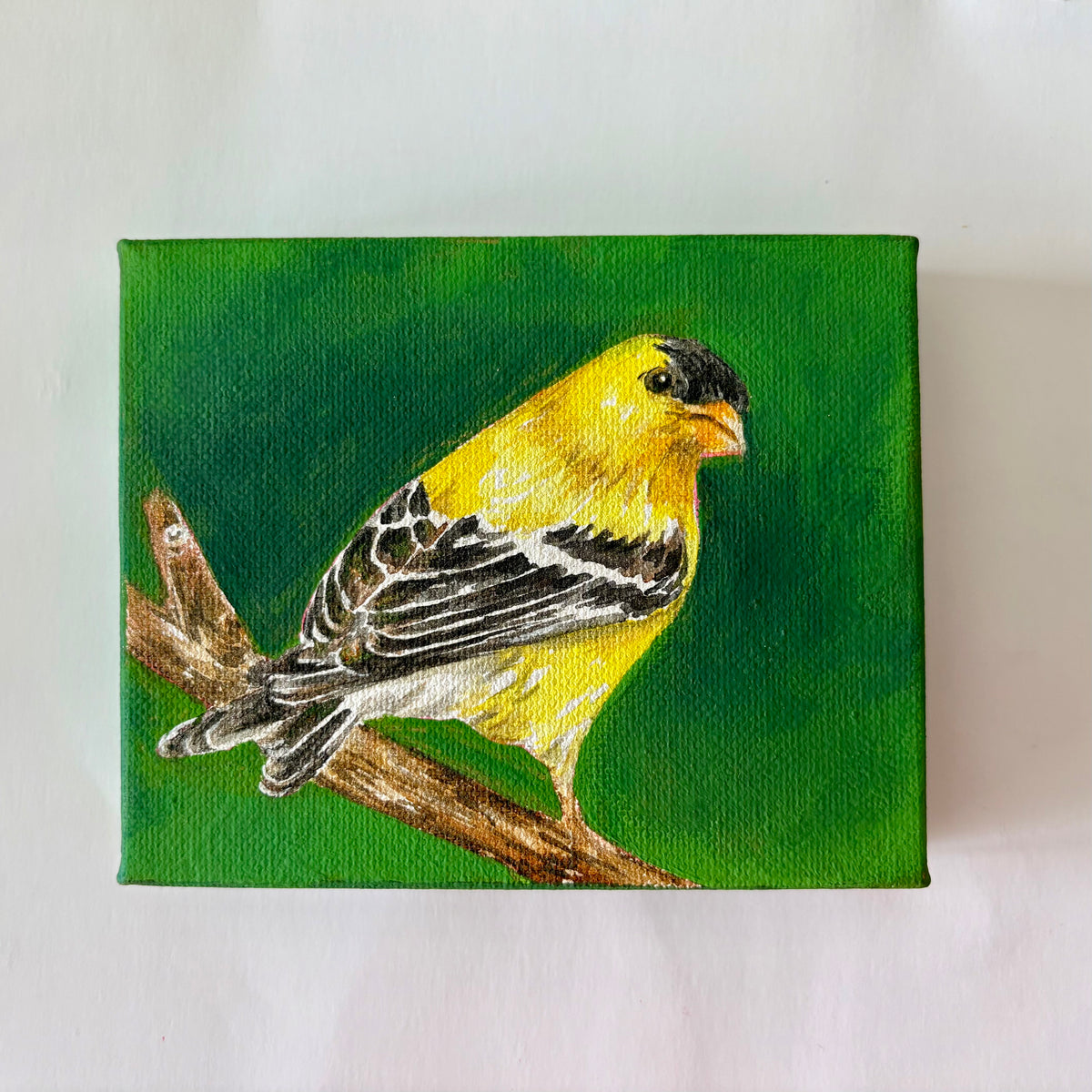4A. Goldfinches's Golden Glow