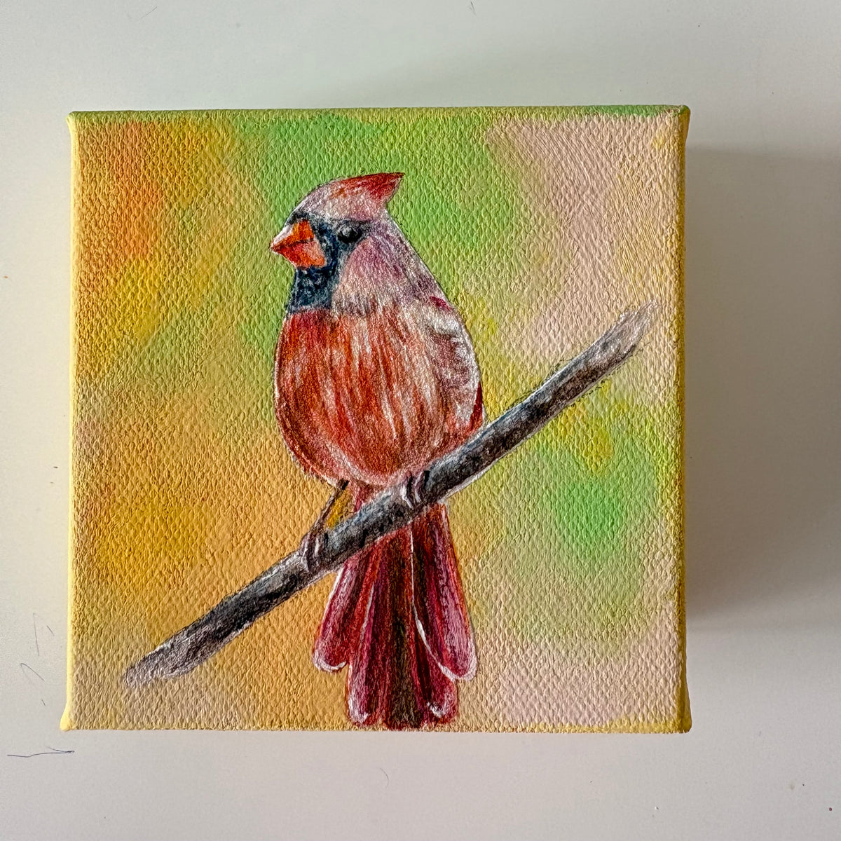 3A. Female Cardinal in Crimson