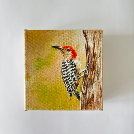 1A. Woodpecker on a Tree Trunk
