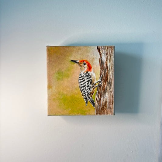 1A. Woodpecker on a Tree Trunk