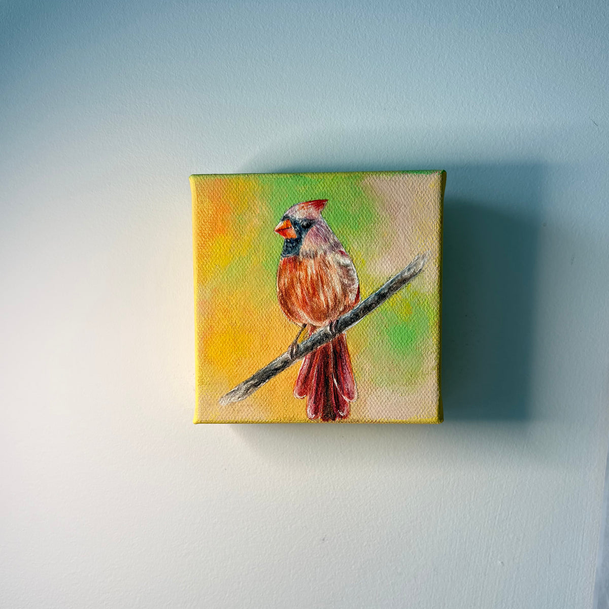 3A. Female Cardinal in Crimson