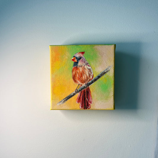 3A. Female Cardinal in Crimson