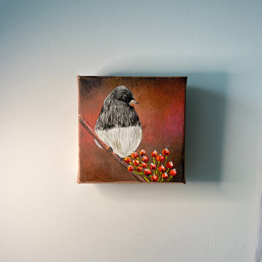 10A. Junco's Autumn Pause