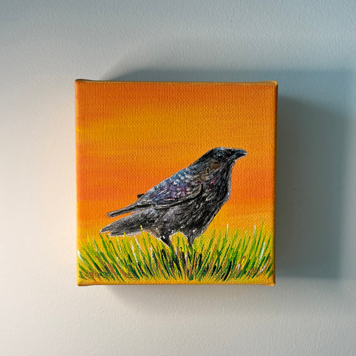 7A. Crow at Sunset