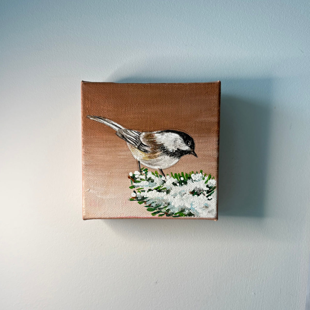11A. Chickadee's Winter Foraging