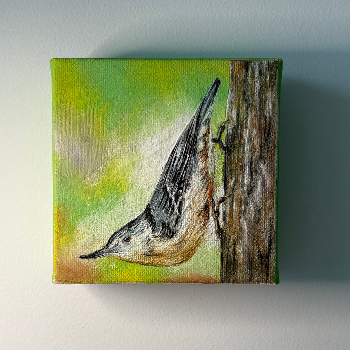 5A. Nuthatch Among The Tree