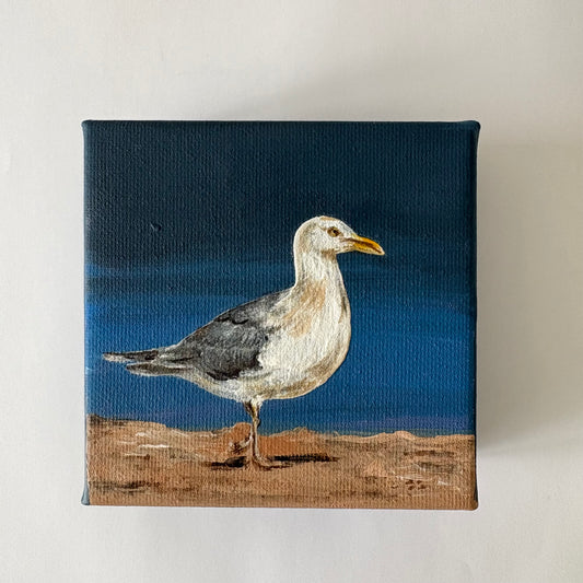 13A. Seagull at Beach