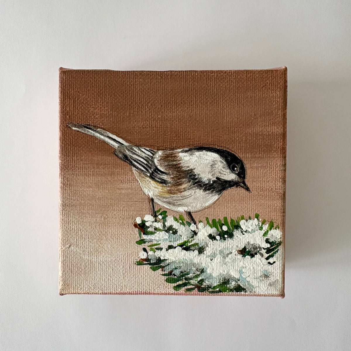 11A. Chickadee's Winter Foraging