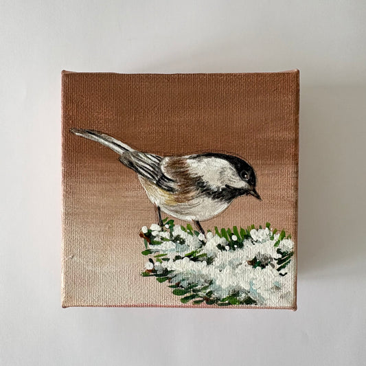 11A. Chickadee's Winter Foraging