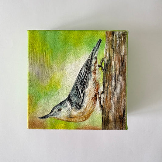 5A. Nuthatch Among The Tree