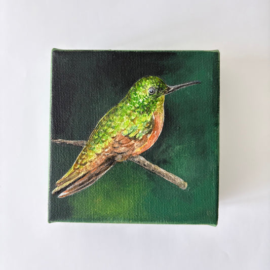 6A. Hummingbird's Emerald Shimmer