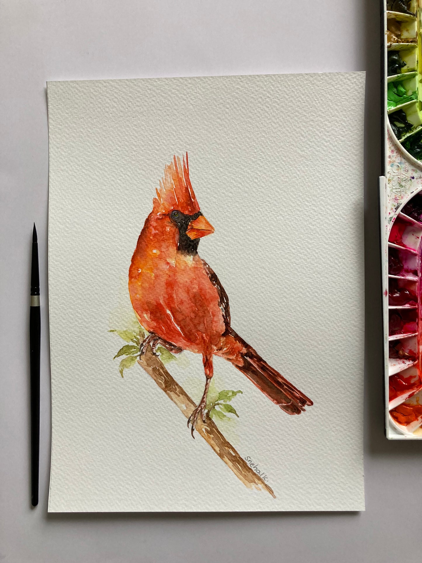 Cardinal